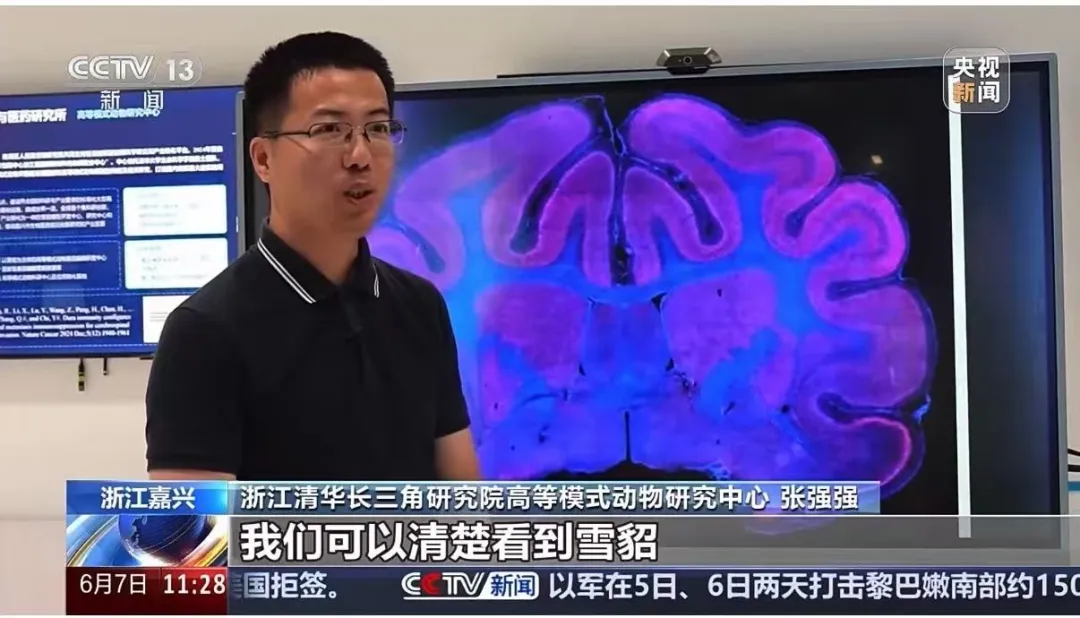 c734da46-a20e-4424-87d4-99f0994f4ee8.png